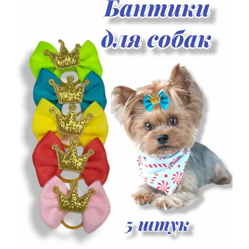 Милый галстук-бабочка для собаки своими руками: порадуйте питомца стильным украшением